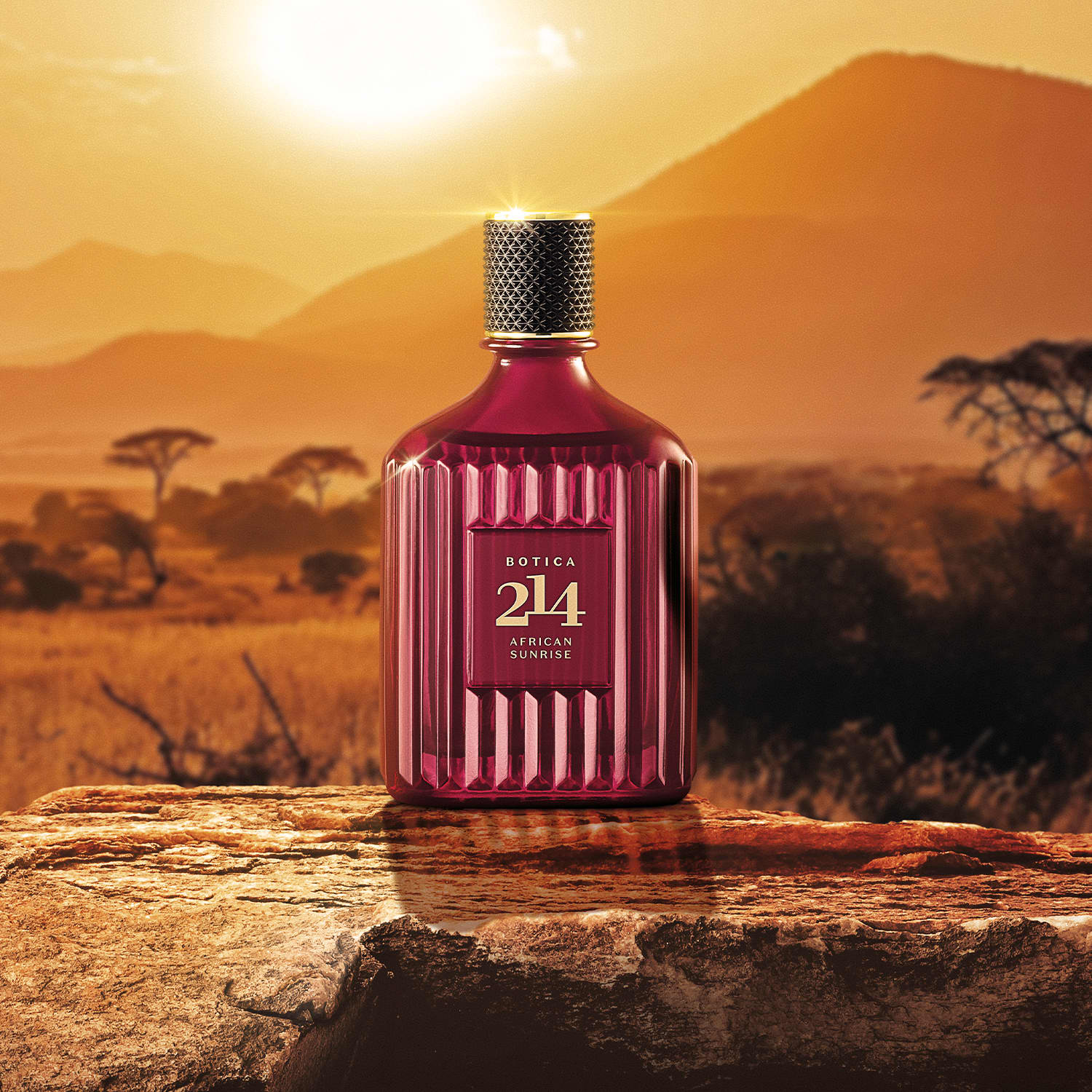 Botica 214 African Sunrise masculino