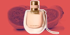 Chloé Nomade