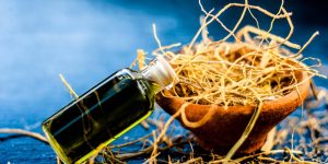 Vetiver Perfumes